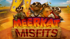 Meerkat Misfits